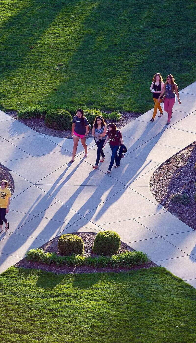 Seven students walk on intersecting concrete campus pathways with manicured green grass and shrubs, creating long shadows.